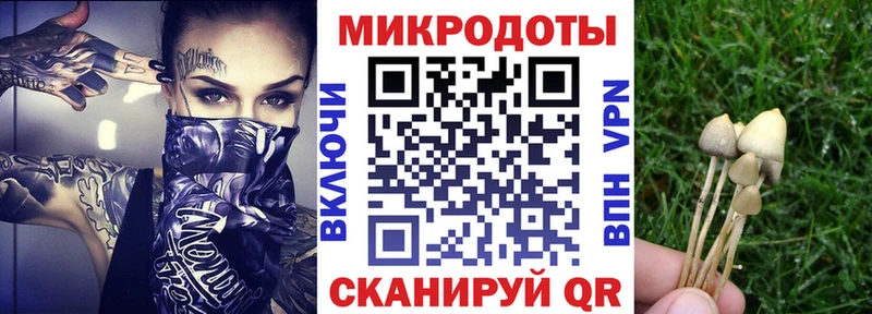 кракен ONION  Ростов-на-Дону  Псилоцибиновые грибы ЛСД 
